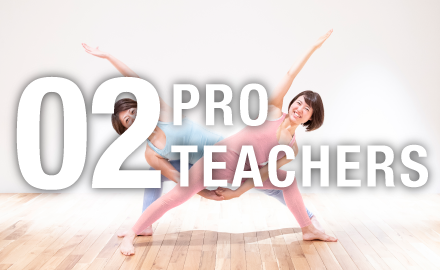 PROFESSIONAL TEACHERS