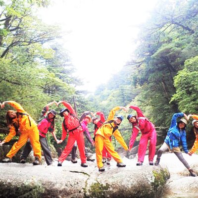 屋久島　ヨガアライアンス　ヨガ資格