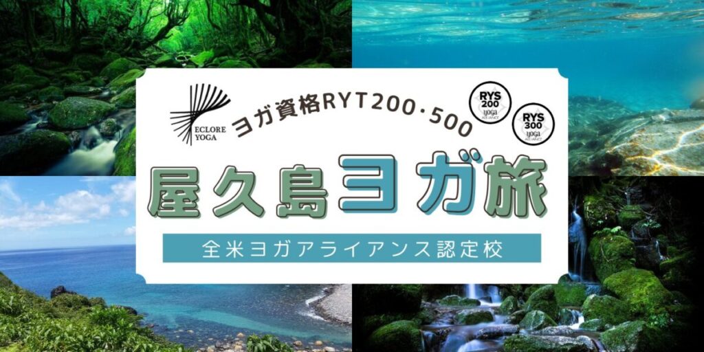 屋久島RYT200・RYT500ヨガ資格合宿